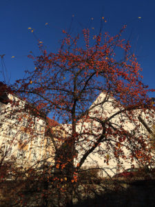 Messerschmiedestraße 15 Zeitz