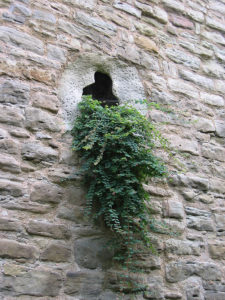 senger-kaptain-zeitz-projekt-stadtmauer-zeitz-3